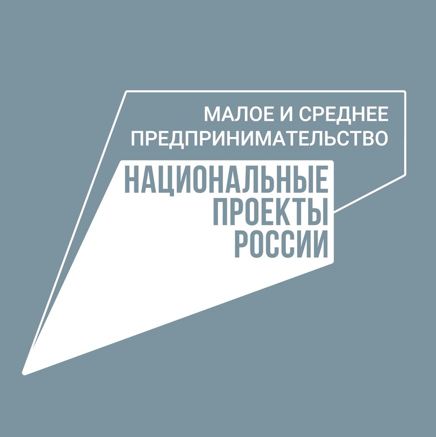 В 2023 году каждый 12-й предприниматель получил государственную поддержку по линии Корпорации МСП.