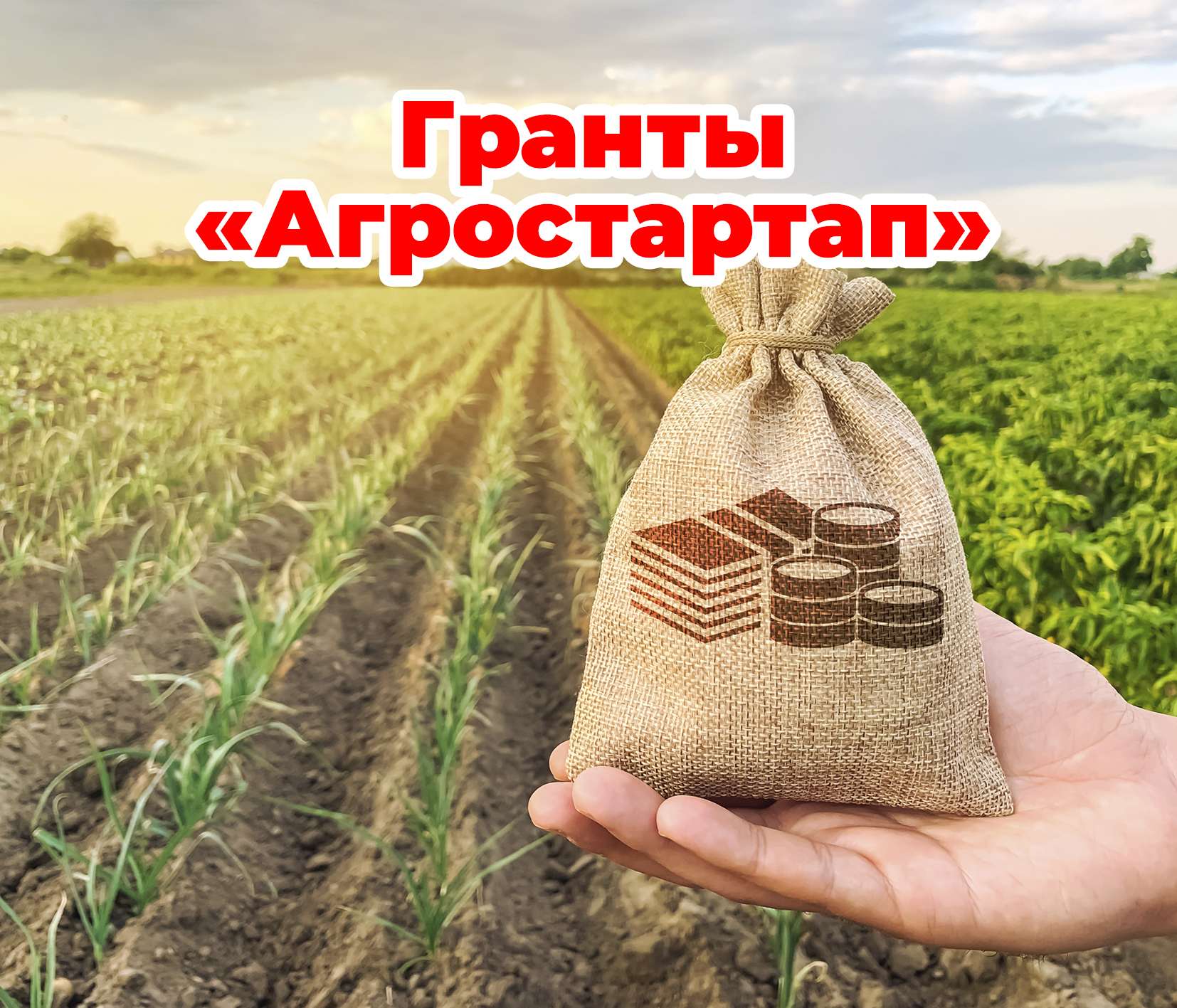 Объявлен второй тур конкурсного отбора для предоставления грантов «Агростартап».