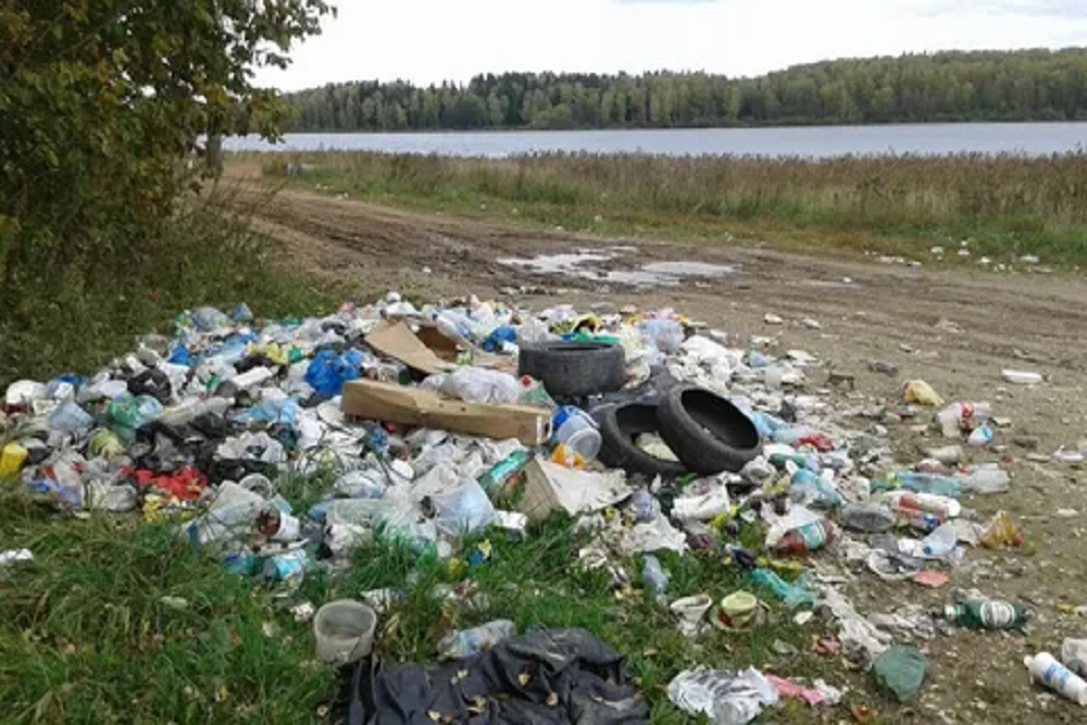 Ответственность за нарушение законодательства в области обращения с отходами.