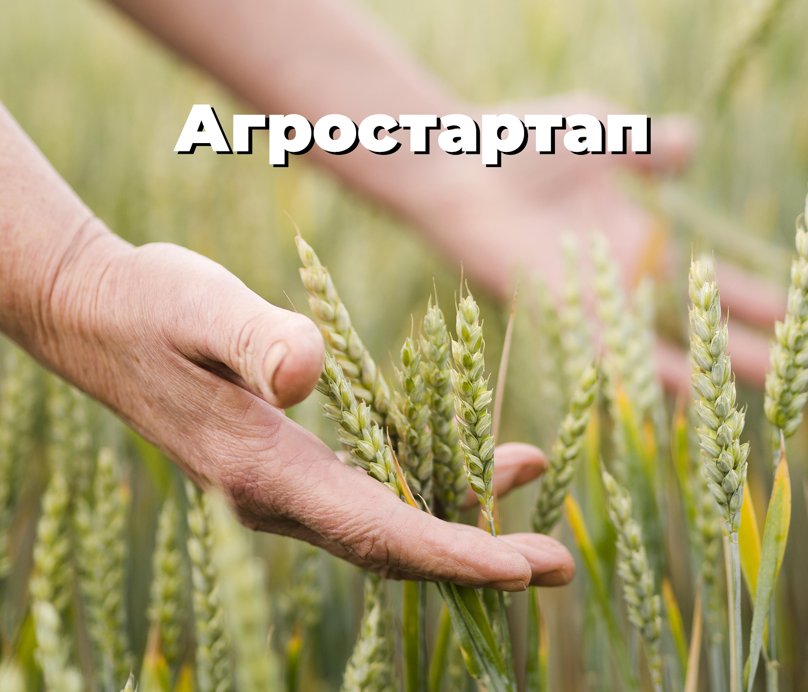 Объявлен второй тур конкурсного отбора по предоставлению грантов «Агростартап».