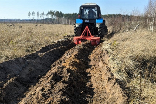 Необходимость обустройства минерализованной полосы.