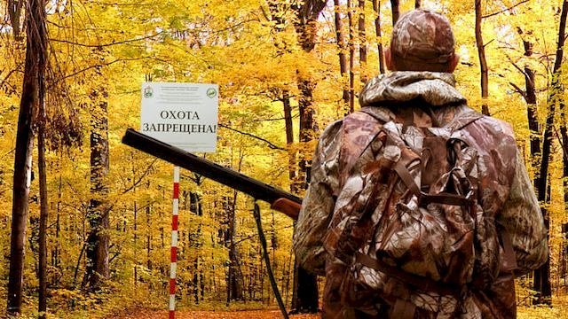 Спортивная и любительская охота на территории Белгородской области запрещена. Спортивная и любительская охота на территории Белгородской области запрещена.