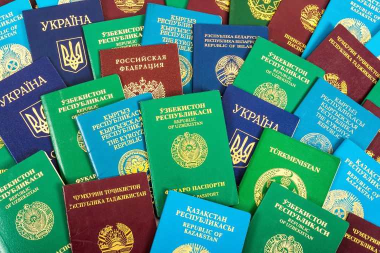 Урегулирование правового статуса иностранных граждан. Урегулирование правового статуса иностранных граждан.